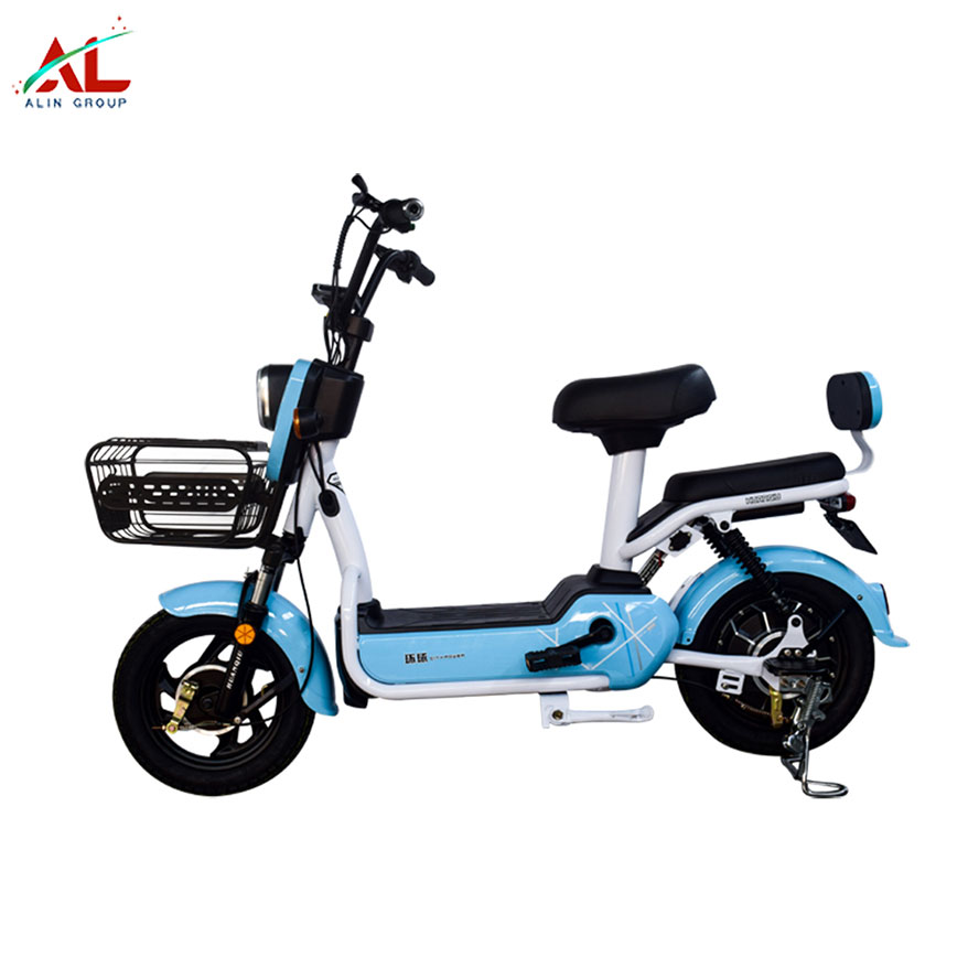 AL-TG Electric Bicycle